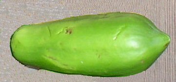 A papaya